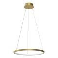 LED Żyrandol na lince HOOP LED/27W/230V śr. 50 cm 4000K złoty