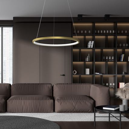 LED Żyrandol na lince HOOP LED/27W/230V śr. 50 cm 4000K złoty