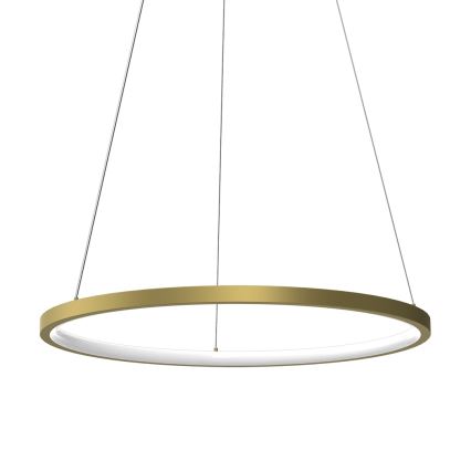 LED Żyrandol na lince HOOP LED/27W/230V śr. 50 cm 4000K złoty