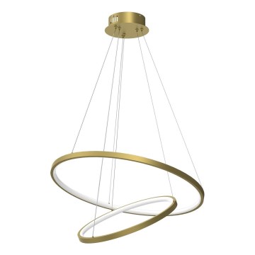 LED Żyrandol na lince HOOP LED/51W/230V śr. 60 cm 4000K złoty