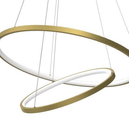 LED Żyrandol na lince HOOP LED/51W/230V śr. 60 cm 4000K złoty