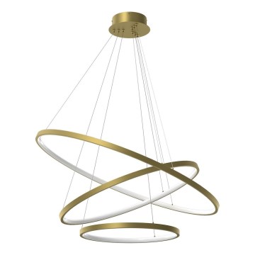LED Żyrandol na lince HOOP LED/93W/230V śr. 80 cm 4000K złoty
