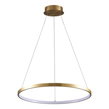 LED Żyrandol na lince LEA LED/20W/230V 4000K śr. 50 cm złoty