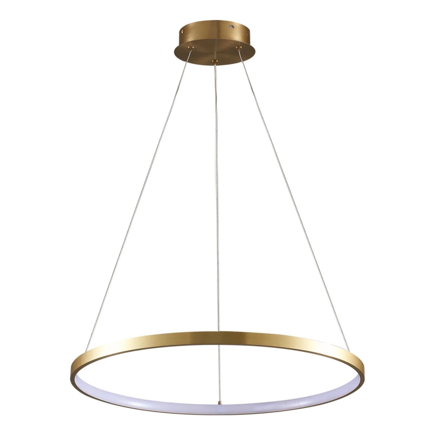 LED Żyrandol na lince LEA LED/20W/230V 4000K śr. 50 cm złoty