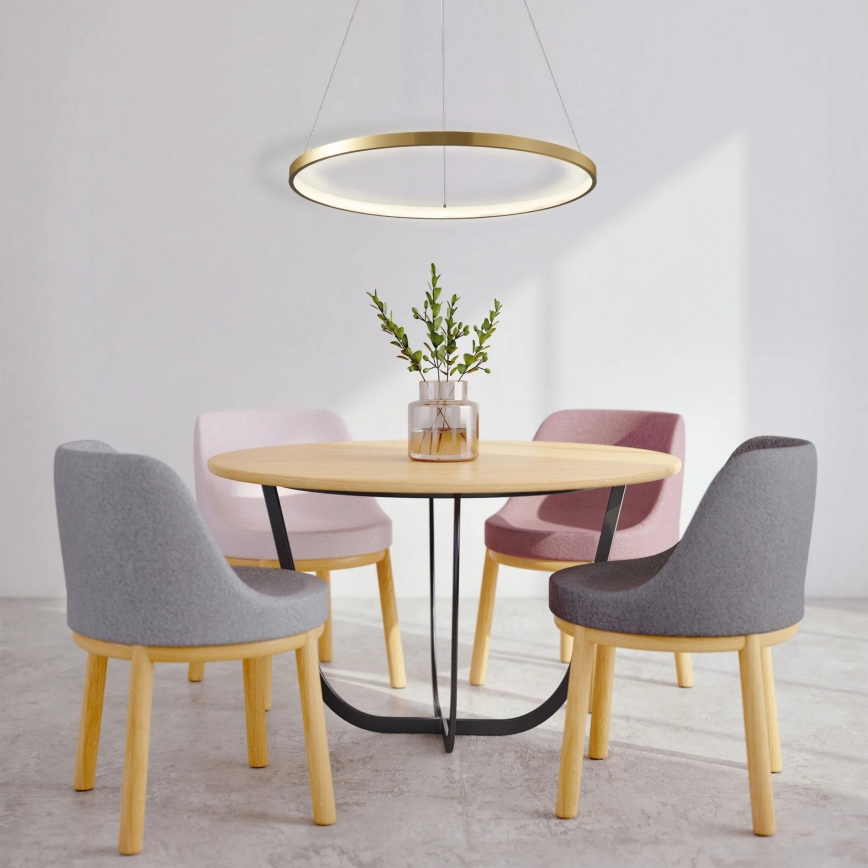 LED Żyrandol na lince LEA LED/20W/230V 4000K śr. 50 cm złoty