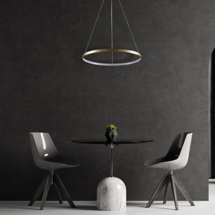 LED Żyrandol na lince LEA LED/20W/230V 4000K śr. 50 cm złoty