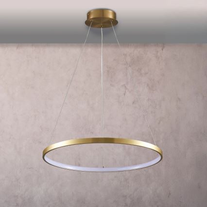LED Żyrandol na lince LEA LED/20W/230V 4000K śr. 50 cm złoty