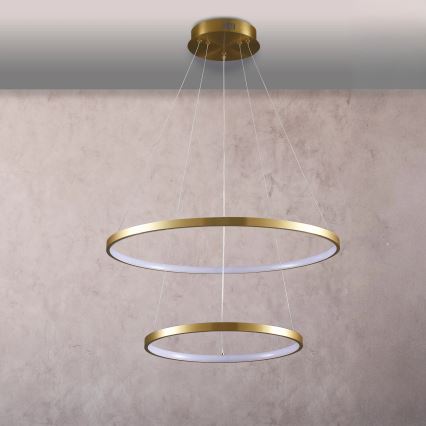LED Żyrandol na lince LEA LED/35W/230V 4000K śr. 60 cm złoty