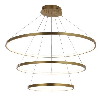 LED Żyrandol na lince LEA LED/60W/230V 4000K śr. 80 cm złoty