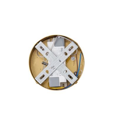 LED Żyrandol na lince LED/19W/230V 3000K
