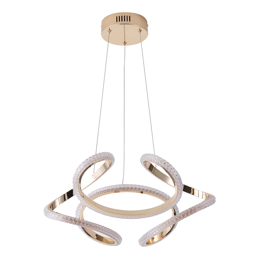 LED Żyrandol na lince LED/24W/230V 3000K 50x120 cm