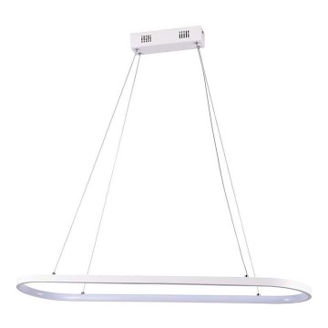 LED Żyrandol na lince LED/24W/230V 3000K biały