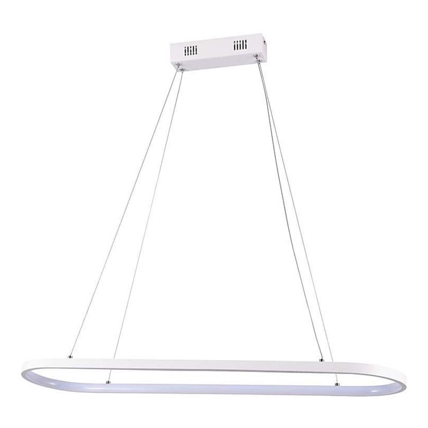 LED Żyrandol na lince LED/24W/230V 3000K biały