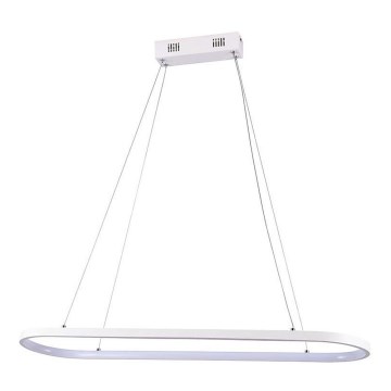 LED Żyrandol na lince LED/24W/230V 4000K biały