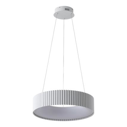 LED Żyrandol na lince LED/30W/230V 3000K biały