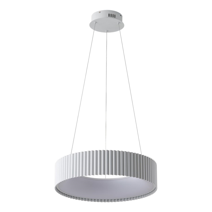 LED Żyrandol na lince LED/30W/230V 3000K biały