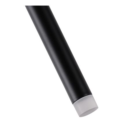 LED Żyrandol na lince LED/3W/230V 3000K śr. 5 cm