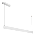 LED żyrandol na lince LINEA LED/36W/230V 3000/4000/5700K CRI 90 biały