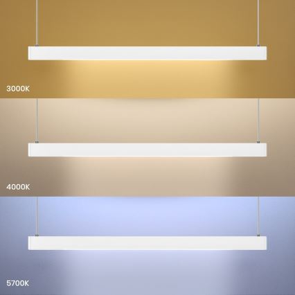 LED żyrandol na lince LINEA LED/36W/230V 3000/4000/5700K CRI 90 biały