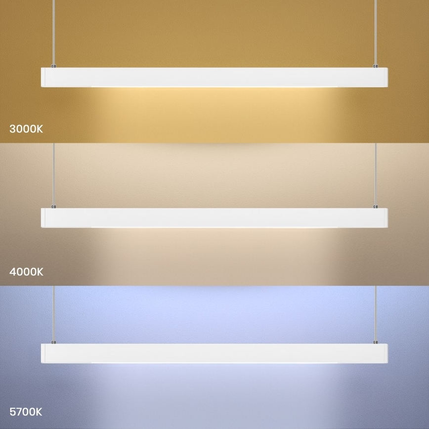 LED żyrandol na lince LINEA LED/36W/230V 3000/4000/5700K CRI 90 biały