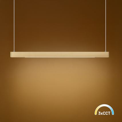 LED Žyrandol na lince LINEA LED/36W/230V 3000/4000/5700K CRI 90 złoty