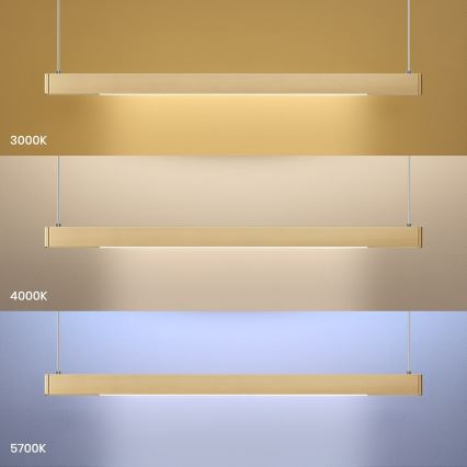 LED Žyrandol na lince LINEA LED/36W/230V 3000/4000/5700K CRI 90 złoty