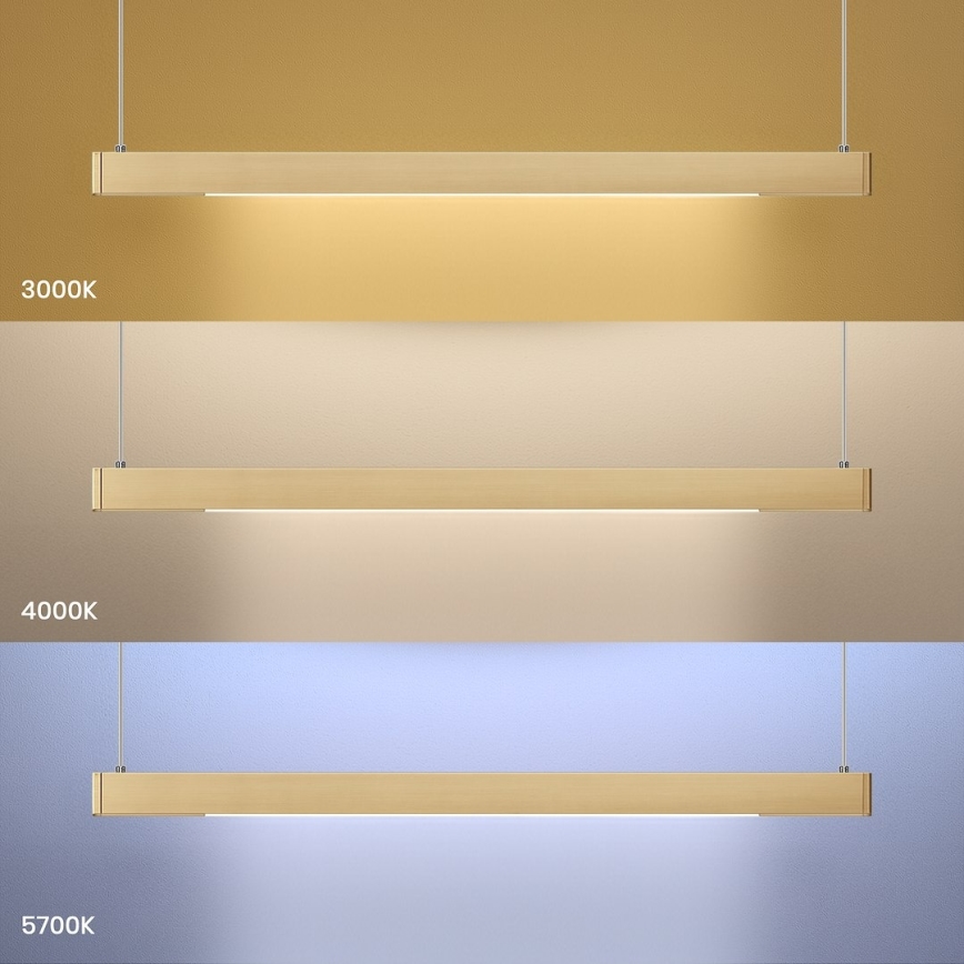 LED Žyrandol na lince LINEA LED/36W/230V 3000/4000/5700K CRI 90 złoty