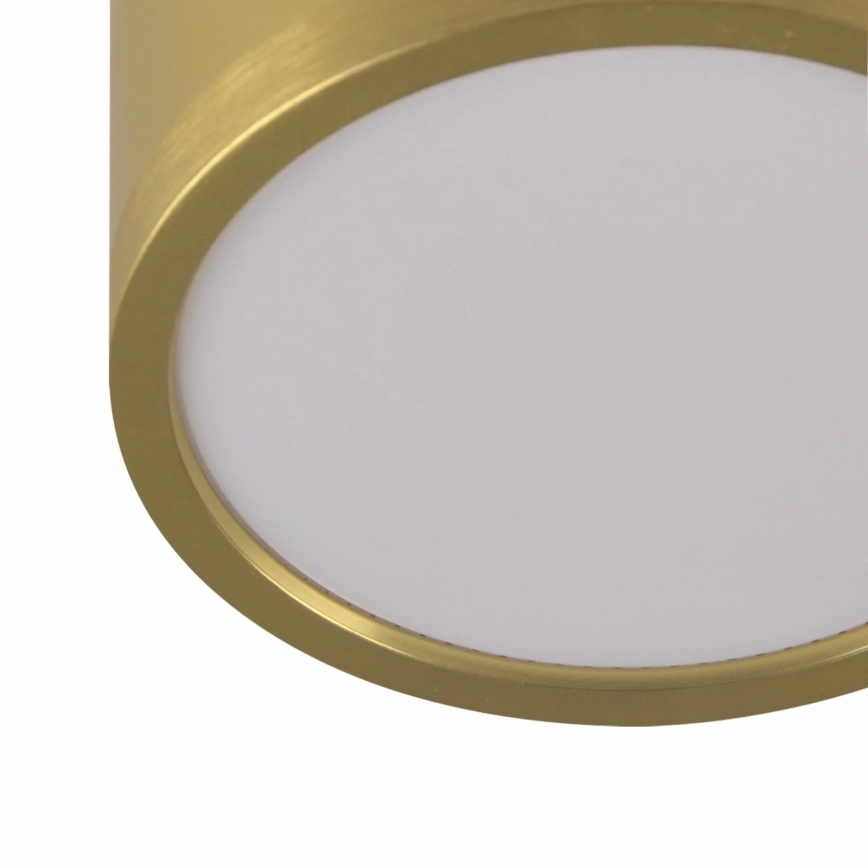 LED Żyrandol na lince MIRELLA 3xGX53/6W/230V złoty/czarny