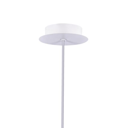 LED Żyrandol na lince MODENA LED/5W/230V