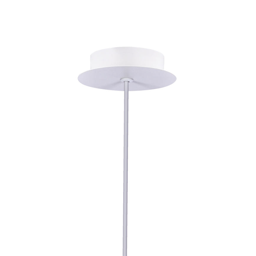 LED Żyrandol na lince MODENA LED/5W/230V