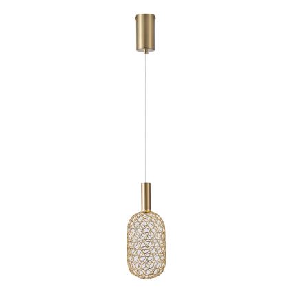 LED Żyrandol na lince PERFORATO LED/6,3W/230V 3000K złoty śr. 13 cm