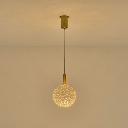 LED Żyrandol na lince PERFORATO LED/6,3W/230V 3000K złoty śr. 20 cm
