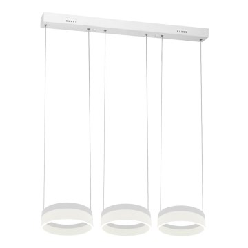 LED Żyrandol na lince RING 3xLED/12W/230V