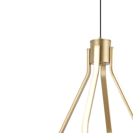 LED Żyrandol na lince ZING LED/19W/230V złoty