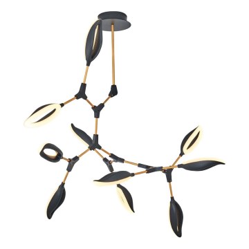 LED żyrandol na pręcie ASTI 10xLED/7W/230V 3000K czarny