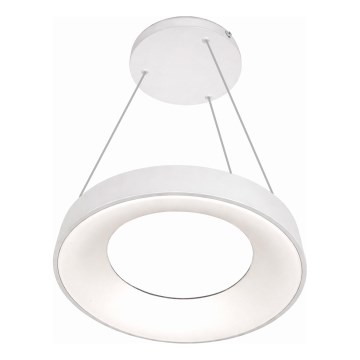 LED Żyrandol na przewodzie DRAX LED/32W/230V 4000K śr. 38 cm biały