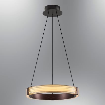 LED Żyrandol na przewodzie JESI LED/2W/230V 3000K brązowy