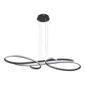 LED Żyrandol na przewodzie VIOLIN LED/40W/230V czarny