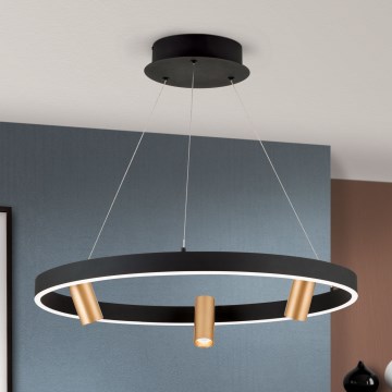 LED Żyrandol ściemnialny na lince BERLIN LED/50W/230V czarny/złoty