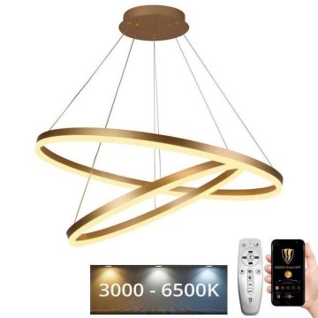 LED Żyrandol ściemnialny na lince LED/100W/230V 3000-6500K śr. 80 cm + zdalne sterowanie