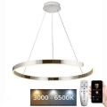 LED Żyrandol ściemnialny na lince LED/100W/230V 3000-6500K śr. 80 cm + zdalne sterowanie