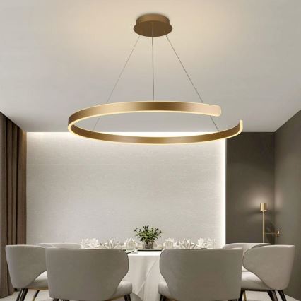 LED Żyrandol ściemnialny na lince LED/100W/230V 3000-6500K śr. 80 cm + zdalne sterowanie