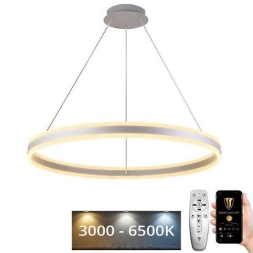 LED Żyrandol ściemnialny na lince LED/110W/230V 3000-6500K śr. 80 cm + zdalne sterowanie