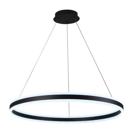 LED Żyrandol ściemnialny na lince LED/110W/230V 3000-6500K śr. 80 cm + zdalne sterowanie
