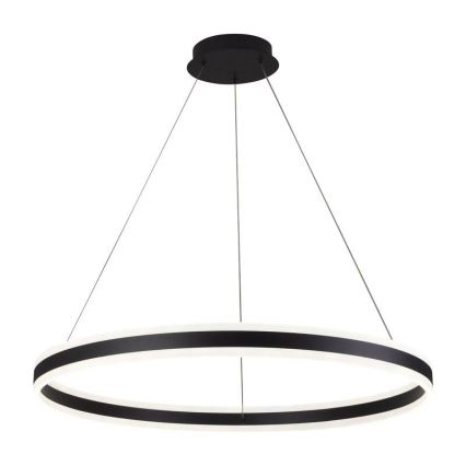 LED Żyrandol ściemnialny na lince LED/110W/230V 3000-6500K śr. 80 cm + zdalne sterowanie