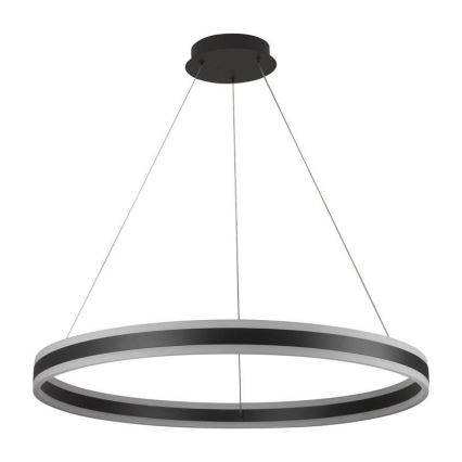 LED Żyrandol ściemnialny na lince LED/110W/230V 3000-6500K śr. 80 cm + zdalne sterowanie