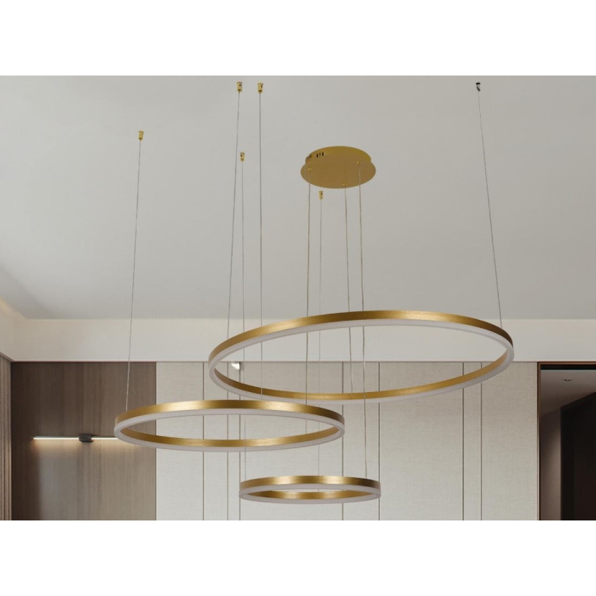 LED Żyrandol ściemnialny na lince LED/125W/230V 3000-6500K śr. 80 cm + zdalne sterowanie