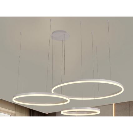 LED Żyrandol ściemnialny na lince LED/125W/230V 3000-6500K śr. 80 cm + zdalne sterowanie
