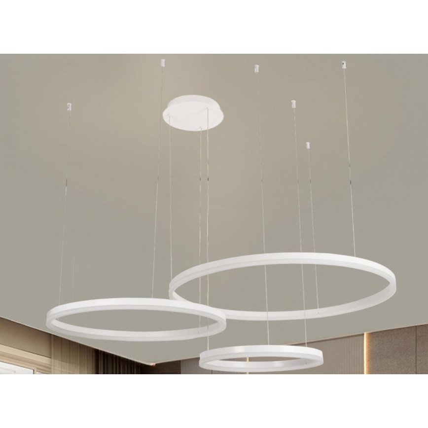 LED Żyrandol ściemnialny na lince LED/125W/230V 3000-6500K śr. 80 cm + zdalne sterowanie