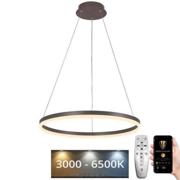 LED Żyrandol ściemnialny na lince LED/42W/230V 3000-6500K śr. 60 cm + zdalne sterowanie